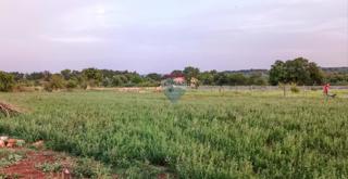 Land - Sale - ISTARSKA - MARČANA - MARČANA