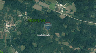 Land - Sale - ISTARSKA - BUJE - MOMJAN