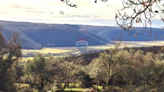 Land - Sale - ISTARSKA - BUJE - KRASICA