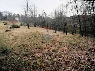 Land - Sale - PRIMORSKO-GORANSKA - KLANA - KLANA