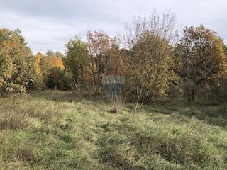 Land - Sale - ISTARSKA - MARČANA - RAKALJ