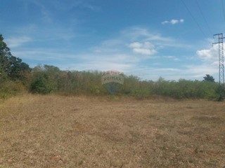 Land - Sale - ISTARSKA - MARČANA - DIVŠIĆI