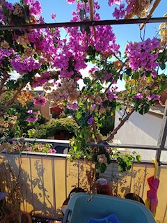 Flat - Sale - ISTARSKA - ROVINJ - ROVINJ