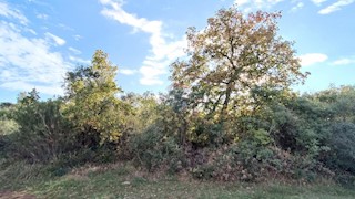 Land - Sale - ISTARSKA - VODNJAN - VODNJAN