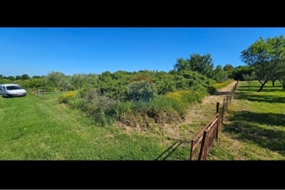 Grundstück - Verkauf - ZADARSKA - POLIČNIK - MURVICA