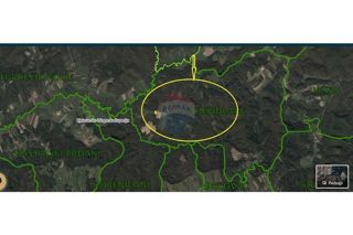 Zemljište - Prodaja - BJELOVARSKO-BILOGORSKA - ĐULOVAC - DONJE CJEPIDLAKE