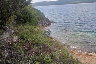 Grundstück - Verkauf - ZADARSKA - DUGI OTOK - ZVERINAC