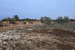 Land - Sale - ZADARSKA - SVETI FILIP I JAKOV - DONJE RAŠTANE