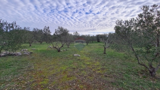 Land - Sale - ŠIBENSKO-KNINSKA - ŠIBENIK - ZATON