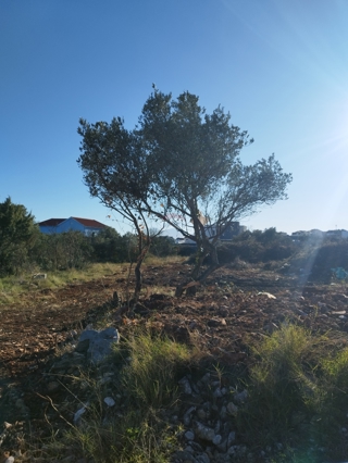 Land - Sale - ŠIBENSKO-KNINSKA - VODICE - VODICE
