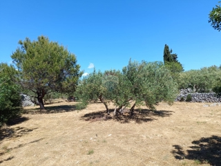 Land - Sale - ŠIBENSKO-KNINSKA - VODICE - VODICE