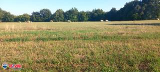 Zemljište - Prodaja - ISTARSKA - SVETVINČENAT - PUSTI