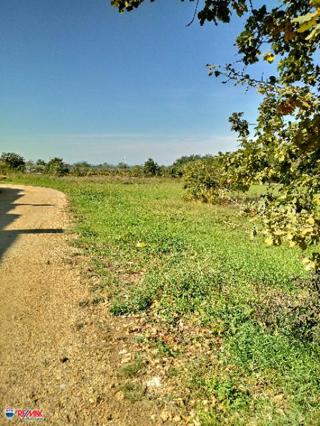 Land - Sale - ISTARSKA - POREČ - BONACI