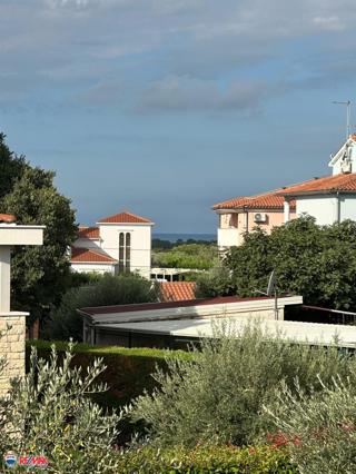 Wohnung - Verkauf - ISTARSKA - TAR-VABRIGA - VABRIGA