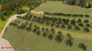 Land - Sale - ISTARSKA - PIĆAN - PIĆAN