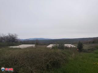 Land - Sale - ISTARSKA - PIĆAN - PIĆAN