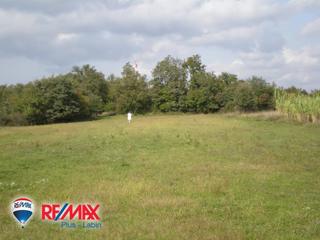 Land - Sale - ISTARSKA - POREČ - BADERNA