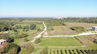 Land - Sale - ISTARSKA - BRTONIGLA - BRTONIGLA