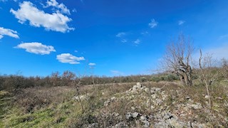 Zemljište - Prodaja - ISTARSKA - UMAG - UMAG