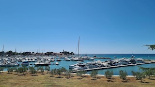 Flat - Sale - ISTARSKA - NOVIGRAD - NOVIGRAD