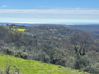 Grundstück - Verkauf - ISTARSKA - BUJE - BUJE