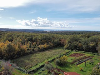 Grundstück - Verkauf - ISTARSKA - NOVIGRAD - NOVIGRAD