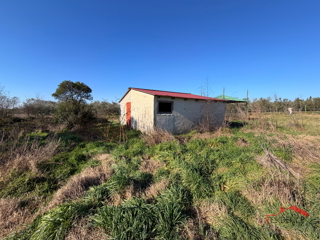 Land - Sale - ISTARSKA - PULA - PULA