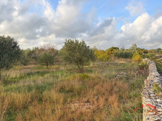 Zemljište - Prodaja - ISTARSKA - VODNJAN - VODNJAN