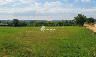 Land - Sale - ISTARSKA - KAŠTELIR - LABINCI - KAŠTELIR