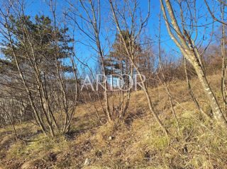 Grundstück - Verkauf - PRIMORSKO-GORANSKA - ČAVLE - CERNIK