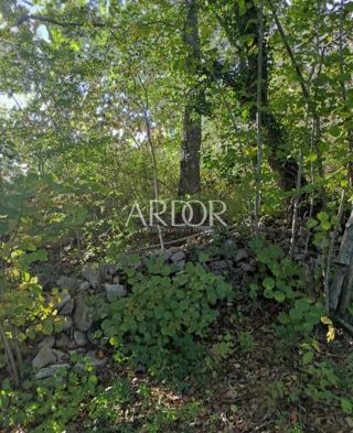 Land - Sale - PRIMORSKO-GORANSKA - VIŠKOVO - SROKI