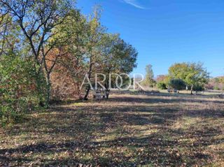 Land - Sale - ISTARSKA - ROVINJ - ROVINJ