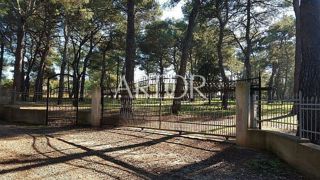 Land - Sale - ISTARSKA - ROVINJ - ROVINJ