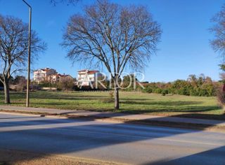 Land - Sale - ISTARSKA - ROVINJ - ROVINJ