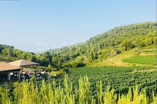 Zemljište - Prodaja - SPLITSKO-DALMATINSKA - VIS - VIS