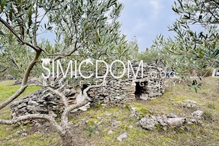 Grundstück - Verkauf - SPLITSKO-DALMATINSKA - BRAČ - BRAČ