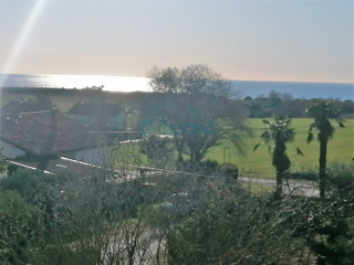 Flat - Sale - ISTARSKA - NOVIGRAD - NOVIGRAD