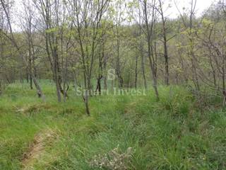 Land - Sale - PRIMORSKO-GORANSKA - VIŠKOVO - KOSI