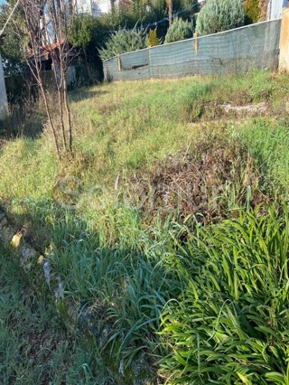 Wohnung - Verkauf - ISTARSKA - ROVINJ - ROVINJ