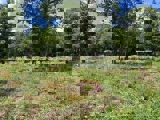 Grundstück - Verkauf - ISTARSKA - SVETI LOVREČ - HERAKI