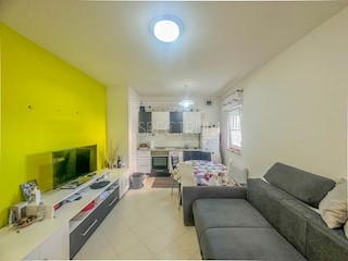 Flat - Sale - ISTARSKA - NOVIGRAD - NOVIGRAD