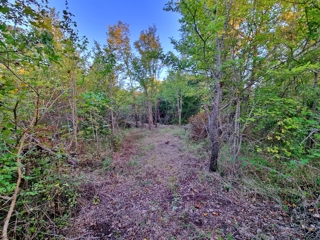 Land - Sale - PRIMORSKO-GORANSKA - KRK - KRK