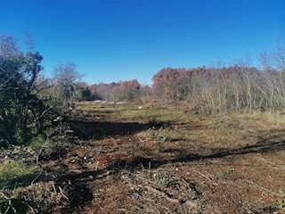 Land - Sale - ISTARSKA - VODNJAN - GALIŽANA
