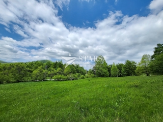 Land - Sale - PRIMORSKO-GORANSKA - RAVNA GORA - STARI LAZ