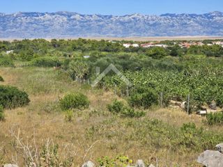 Land - Sale - ZADARSKA - VIR - VIR
