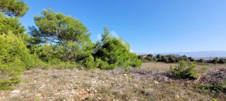 Land - Sale - ZADARSKA - VIR - VIR