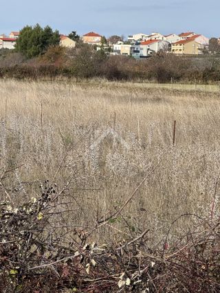 Land - Sale - ZADARSKA - POLIČNIK - DRAČEVAC NINSKI