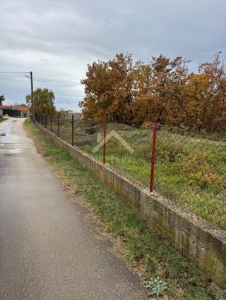 Land - Sale - ZADARSKA - ZEMUNIK DONJI - ZEMUNIK DONJI