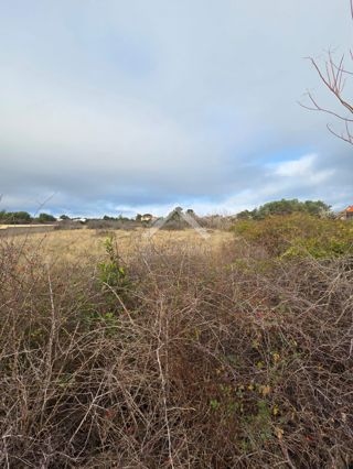 Grundstück - Verkauf - ZADARSKA - VIR - VIR