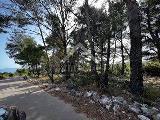 Land - Sale - ZADARSKA - VIR - VIR
